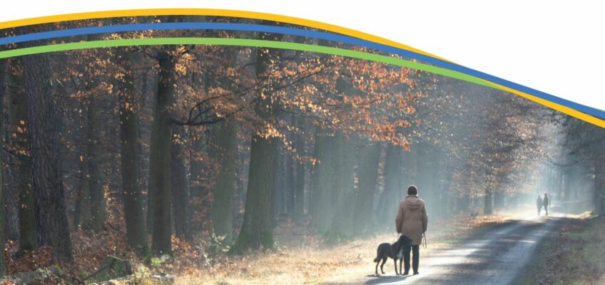 Mein Tierfreund ist verstorben – Ein etwas anderes Trauerseminar